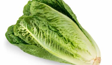 Wholegood Organic Fennel